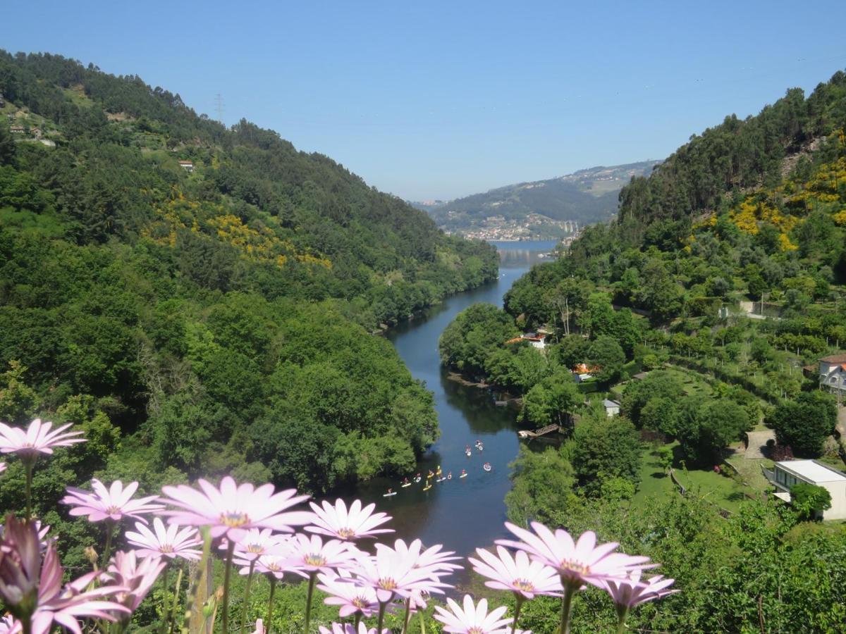 Douro Studio Cinfaes Exterior photo