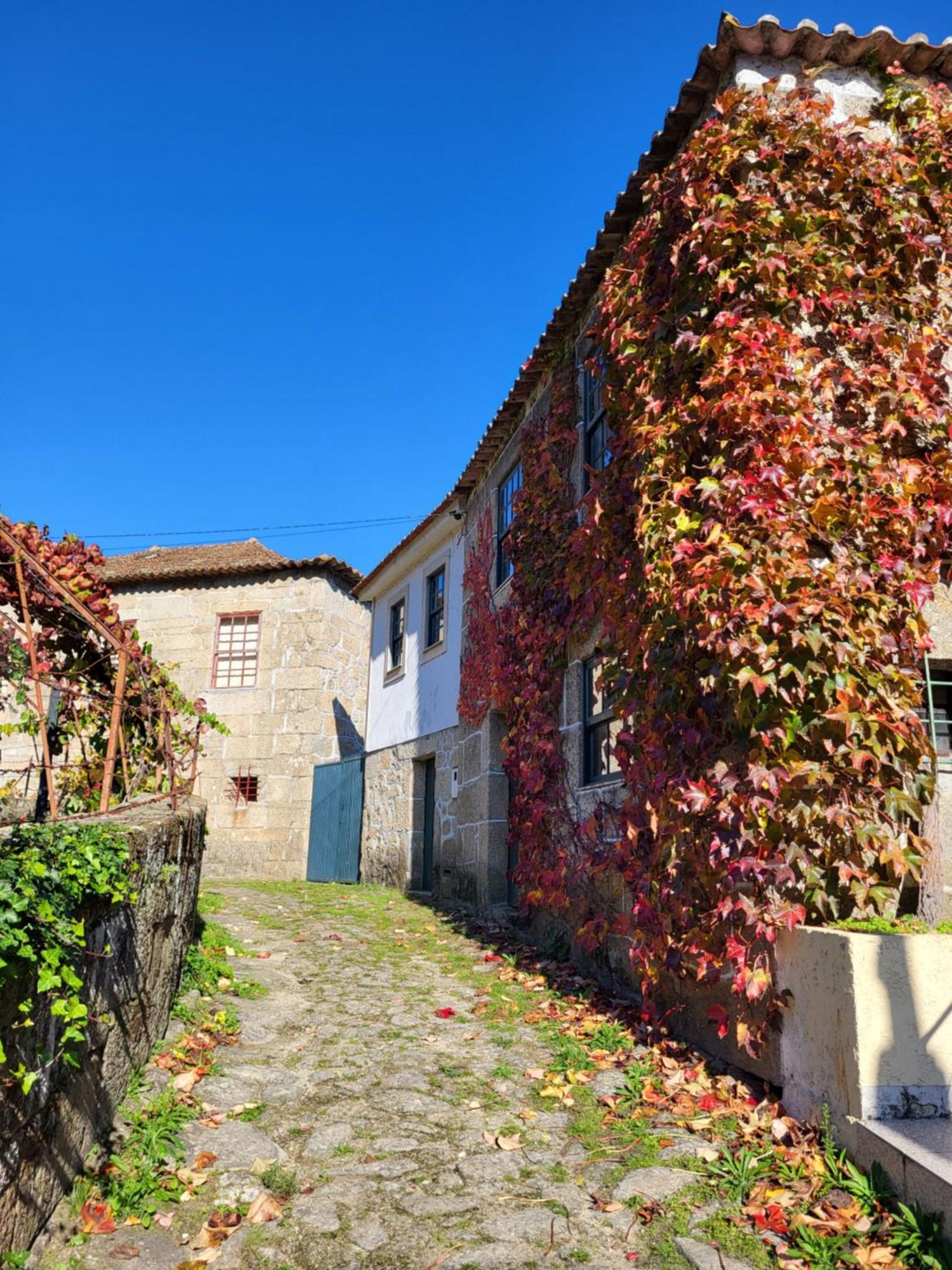 Douro Studio Cinfaes Exterior photo