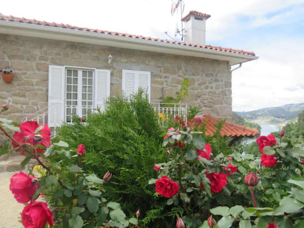 Douro Studio Cinfaes Exterior photo